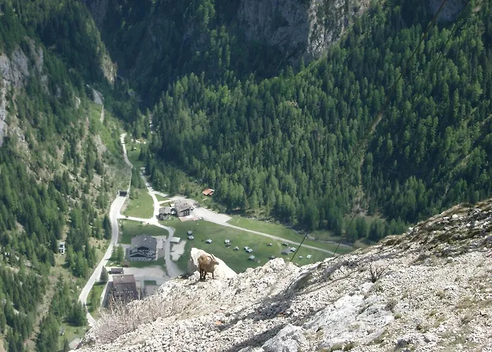 Genzianella 3* Rocca Pietore